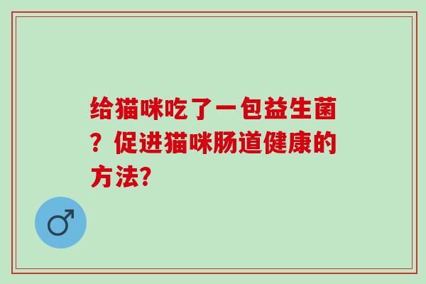 给猫咪吃了一包益生菌？促进猫咪肠道健康的方法？