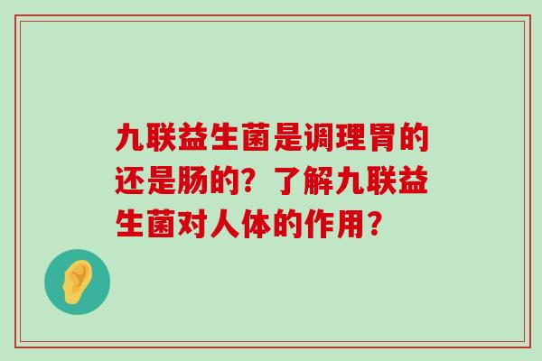 九联益生菌是调理胃的还是肠的？了解九联益生菌对人体的作用？