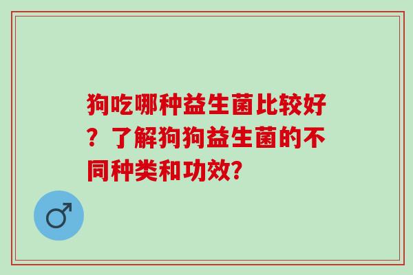 狗吃哪种益生菌比较好?了解狗狗益生菌的不同种类和功效? 狗吃哪种益生菌比较好?了解狗狗益生菌的不同种类和功效?