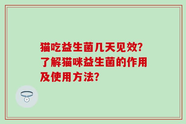猫吃益生菌几天见效？了解猫咪益生菌的作用及使用方法？