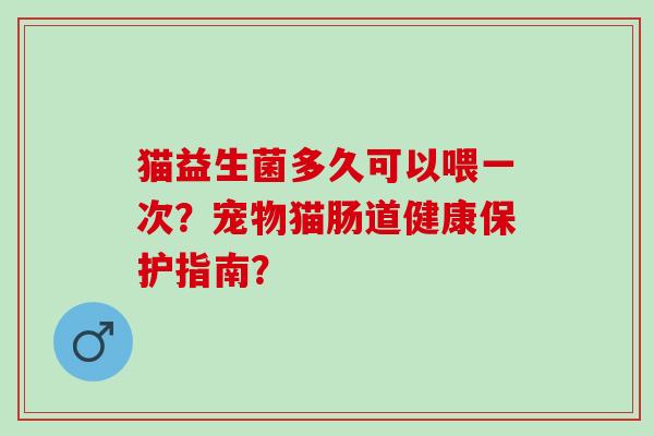 猫益生菌多久可以喂一次？宠物猫肠道健康保护指南？