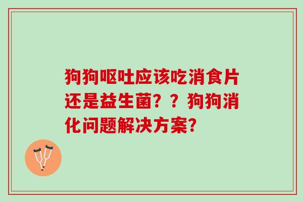 狗狗呕吐应该吃消食片还是益生菌？？狗狗消化问题解决方案？