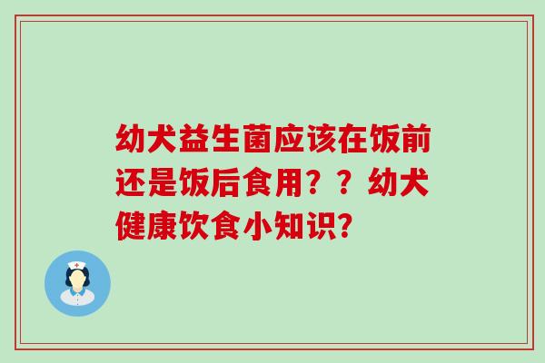 幼犬益生菌应该在饭前还是饭后食用？？幼犬健康饮食小知识？