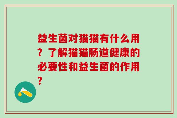 益生菌对猫猫有什么用？了解猫猫肠道健康的必要性和益生菌的作用？