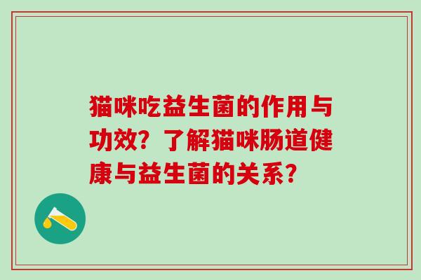 猫咪吃益生菌的作用与功效？了解猫咪肠道健康与益生菌的关系？