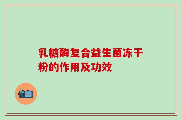 乳糖酶复合益生菌冻干粉的作用及功效