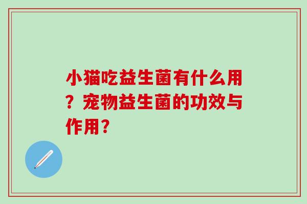 小猫吃益生菌有什么用？宠物益生菌的功效与作用？