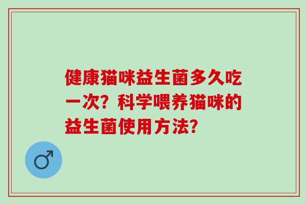 健康猫咪益生菌多久吃一次？科学喂养猫咪的益生菌使用方法？