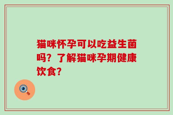 猫咪怀孕可以吃益生菌吗？了解猫咪孕期健康饮食？