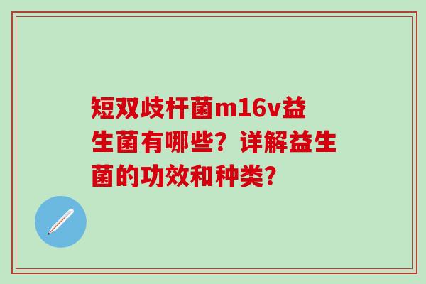 短双歧杆菌m16v益生菌有哪些？详解益生菌的功效和种类？