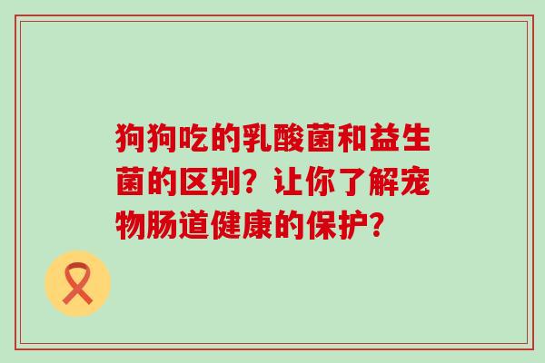 狗狗吃的乳酸菌和益生菌的区别？让你了解宠物肠道健康的保护？