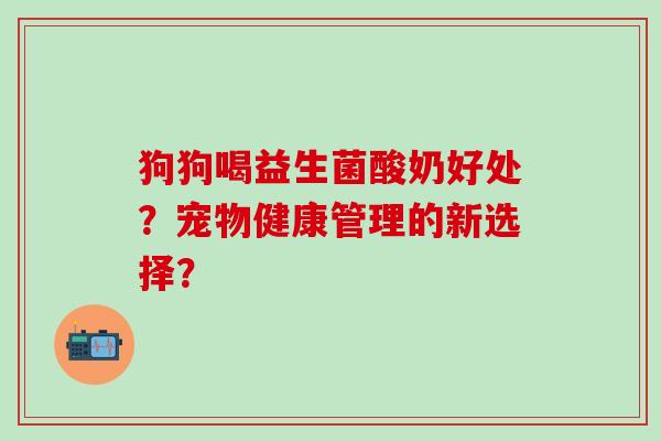狗狗喝益生菌酸奶好处？宠物健康管理的新选择？