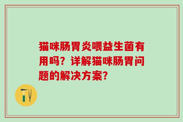 猫咪肠胃炎喂益生菌有用吗？详解猫咪肠胃问题的解决方案？