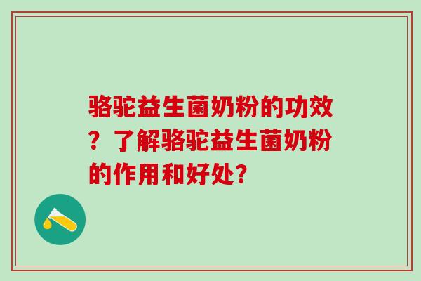 骆驼益生菌奶粉的功效？了解骆驼益生菌奶粉的作用和好处？