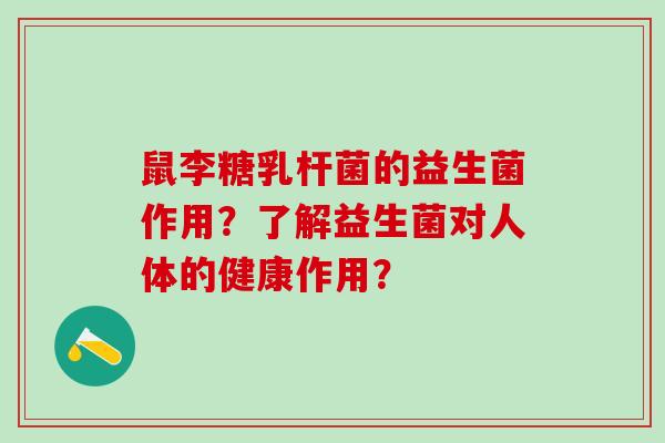 鼠李糖乳杆菌的益生菌作用？了解益生菌对人体的健康作用？
