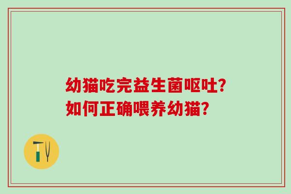幼猫吃完益生菌?如何正确喂养幼猫? 幼猫吃完益生菌?如何正确喂养幼猫?