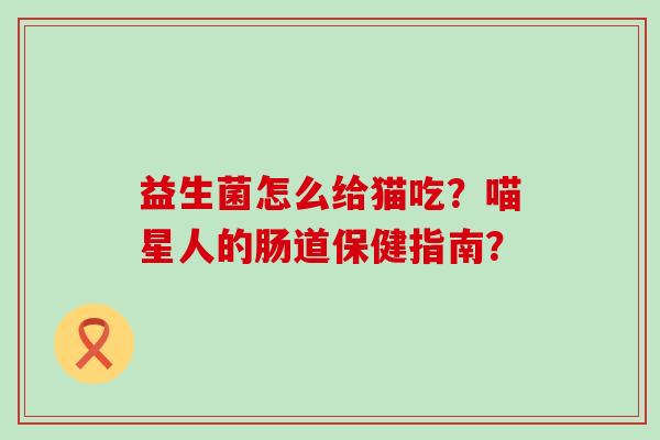 益生菌怎么给猫吃？喵星人的肠道保健指南？
