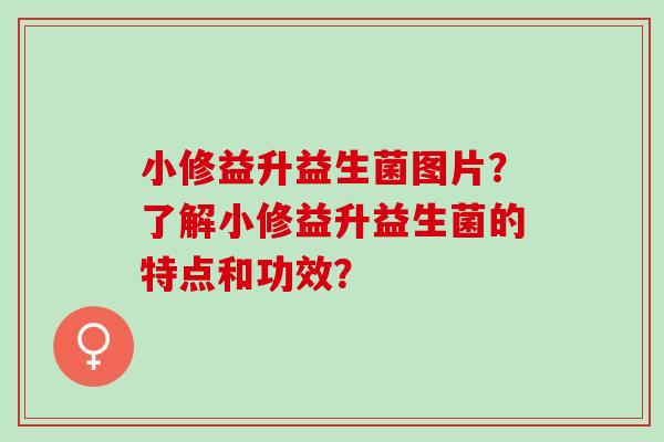 小修益升益生菌图片?了解小修益升益生菌的特点和功效? 小修益升益生菌图片?了解小修益升益生菌的特点和功效?