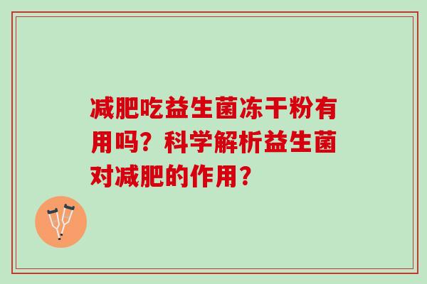 减肥吃益生菌冻干粉有用吗？科学解析益生菌对减肥的作用？