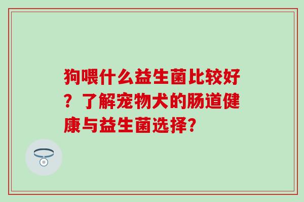 狗喂什么益生菌比较好?了解宠物犬的肠道健康与益生菌选择? 狗喂什么益生菌比较好?了解宠物犬的肠道健康与益生菌选择?