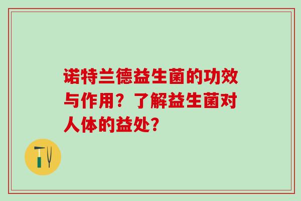 诺特兰德益生菌的功效与作用？了解益生菌对人体的益处？