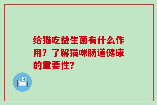 给猫吃益生菌有什么作用？了解猫咪肠道健康的重要性？