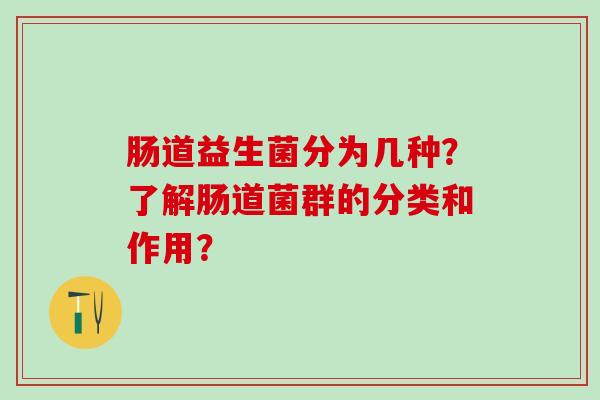 肠道益生菌分为几种？了解肠道菌群的分类和作用？
