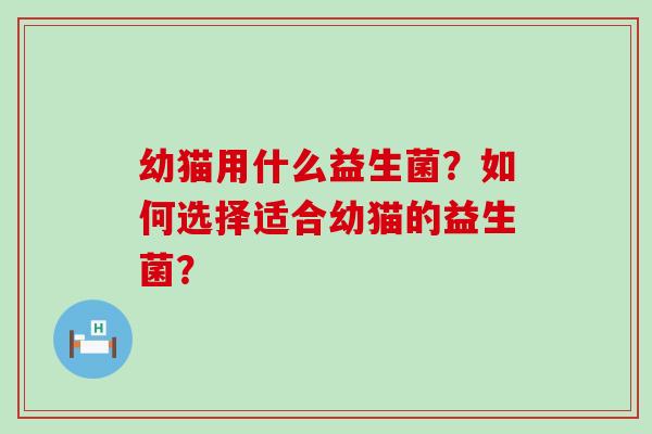 幼猫用什么益生菌？如何选择适合幼猫的益生菌？