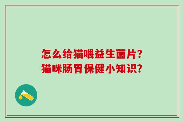 怎么给猫喂益生菌片?猫咪肠胃保健小知识? 怎么给猫喂益生菌片?猫咪肠胃保健小知识?