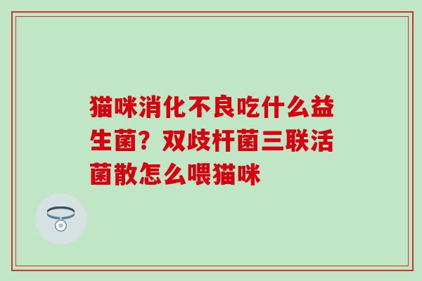 猫咪消化不良吃什么益生菌？双歧杆菌三联活菌散怎么喂猫咪