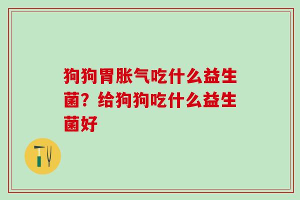 狗狗胃胀气吃什么益生菌？给狗狗吃什么益生菌好