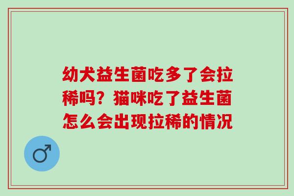幼犬益生菌吃多了会拉稀吗？猫咪吃了益生菌怎么会出现拉稀的情况