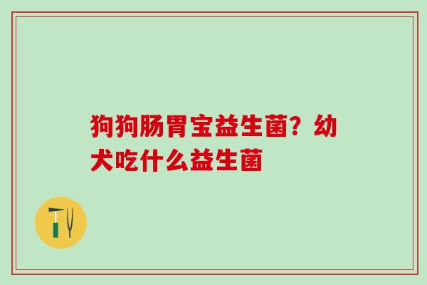 狗狗肠胃宝益生菌？幼犬吃什么益生菌