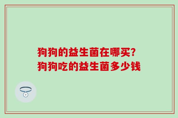 狗狗的益生菌在哪买？狗狗吃的益生菌多少钱