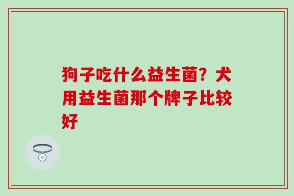 狗子吃什么益生菌？犬用益生菌那个牌子比较好