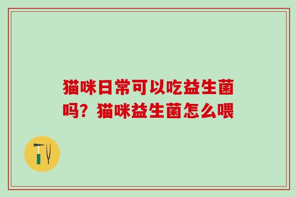 猫咪日常可以吃益生菌吗？猫咪益生菌怎么喂
