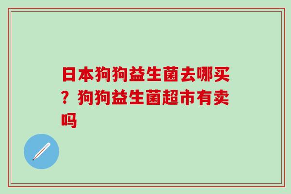 日本狗狗益生菌去哪买？狗狗益生菌超市有卖吗