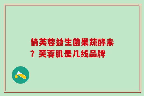 俏芙蓉益生菌果蔬酵素？芙蓉肌是几线品牌