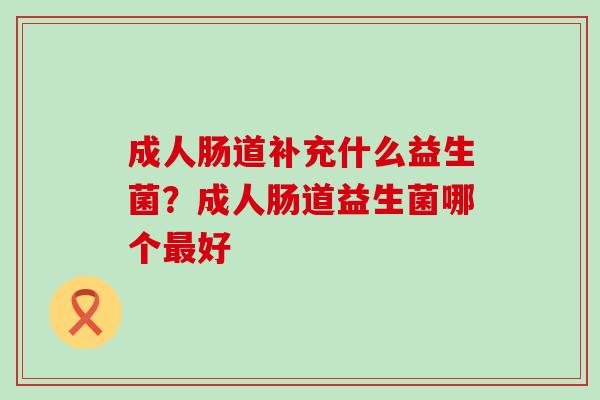 成人肠道补充什么益生菌？成人肠道益生菌哪个最好