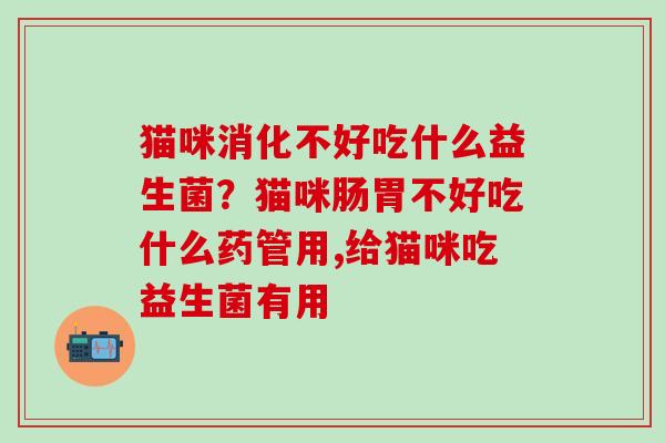 猫咪消化不好吃什么益生菌？猫咪肠胃不好吃什么药管用,给猫咪吃益生菌有用