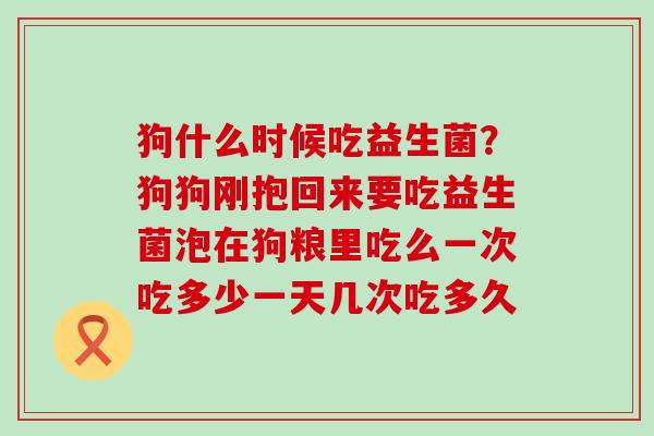 狗什么时候吃益生菌？狗狗刚抱回来要吃益生菌泡在狗粮里吃么一次吃多少一天几次吃多久