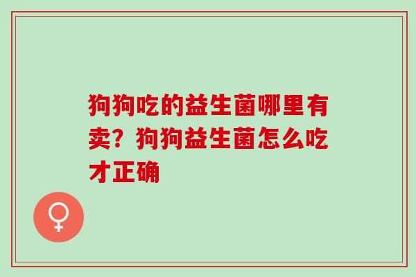 狗狗吃的益生菌哪里有卖?狗狗益生菌怎么吃才正确 狗狗吃的益生菌哪里有卖?狗狗益生菌怎么吃才正确