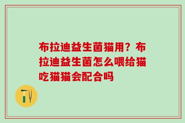 布拉迪益生菌猫用？布拉迪益生菌怎么喂给猫吃猫猫会配合吗