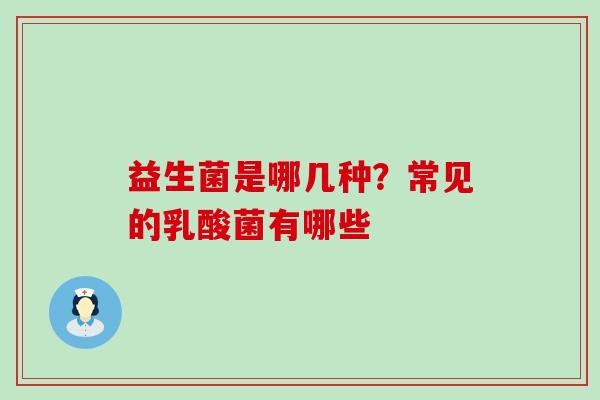 益生菌是哪几种？常见的乳酸菌有哪些