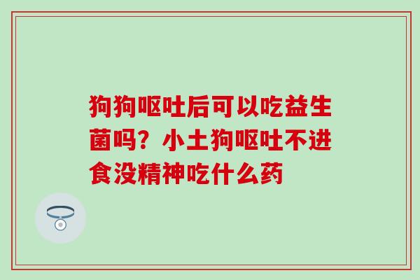 狗狗呕吐后可以吃益生菌吗？小土狗呕吐不进食没精神吃什么药
