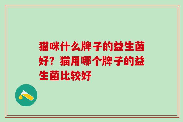 猫咪什么牌子的益生菌好？猫用哪个牌子的益生菌比较好