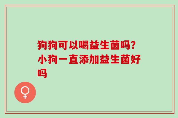 狗狗可以喝益生菌吗?小狗一直添加益生菌好吗 狗狗可以喝益生菌吗?小狗一直添加益生菌好吗