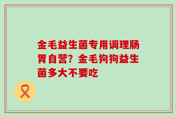 金毛益生菌专用调理肠胃自营？金毛狗狗益生菌多大不要吃