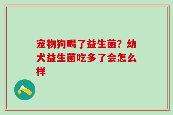 宠物狗喝了益生菌？幼犬益生菌吃多了会怎么样