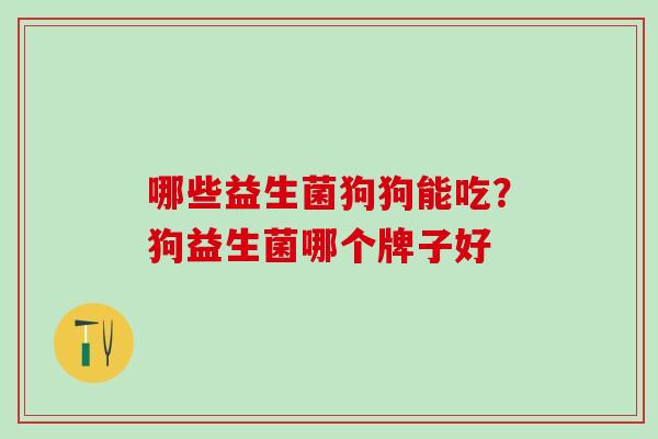 哪些益生菌狗狗能吃？狗益生菌哪个牌子好